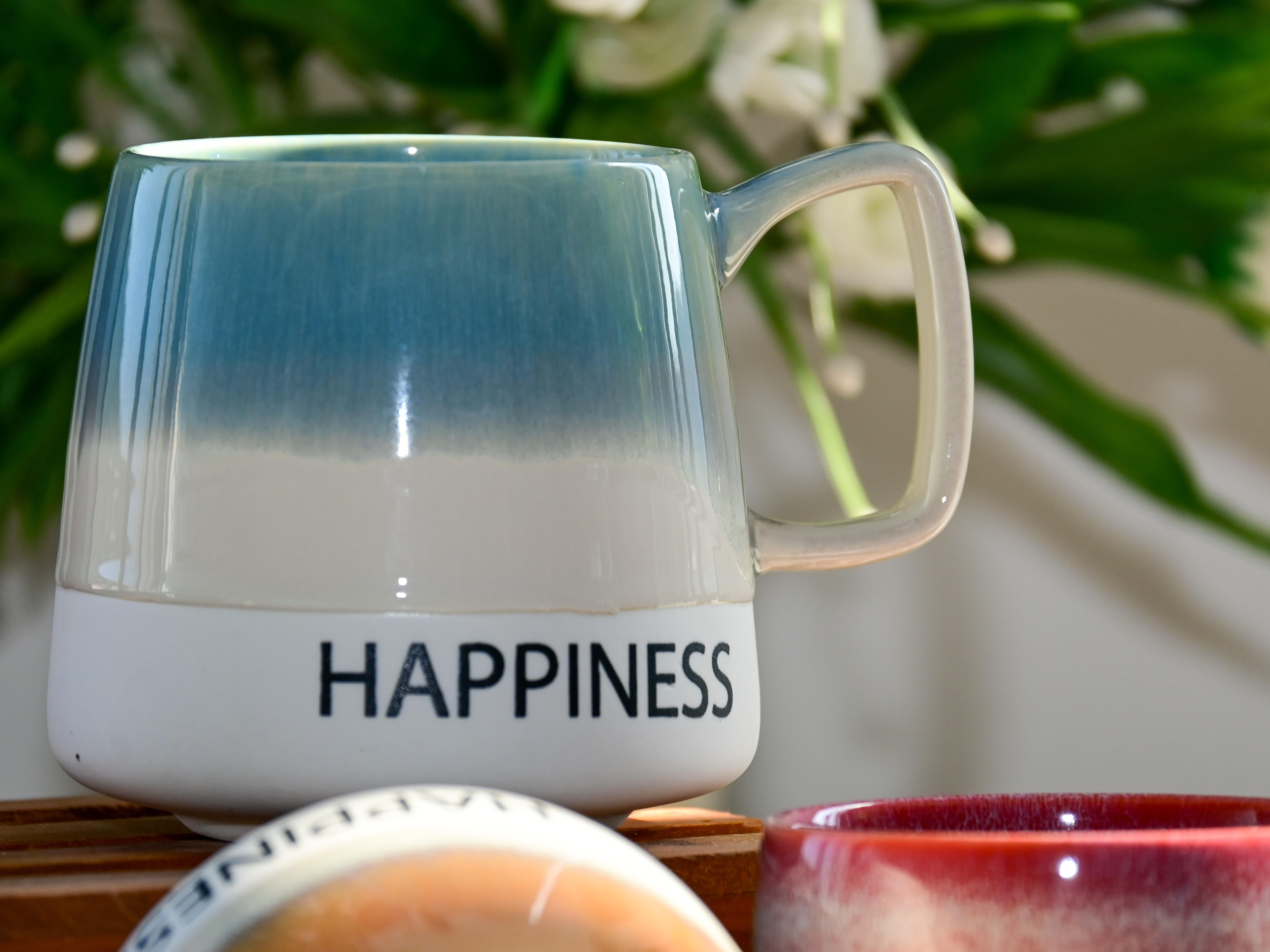 Colorful Gradiant Mug