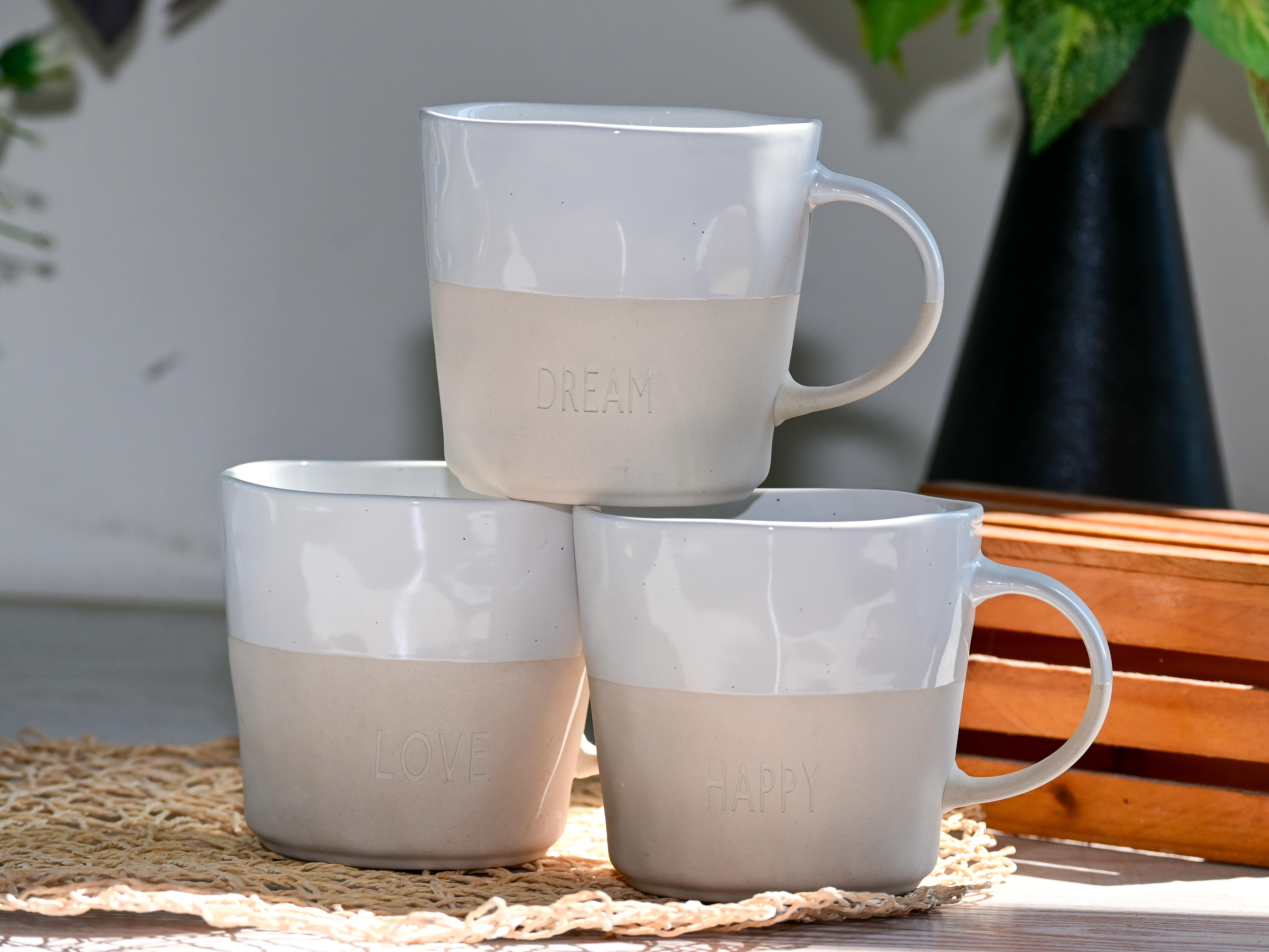 Two-Tone Matte & Glossy Mug